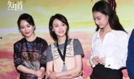 娱乐圈里吃瓜视频在哪看,揭秘热门动态，一键掌握最新资讯